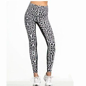 Carbon 38 L'URV Atomic Kitten Legging NWOT